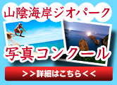 写真コンクール