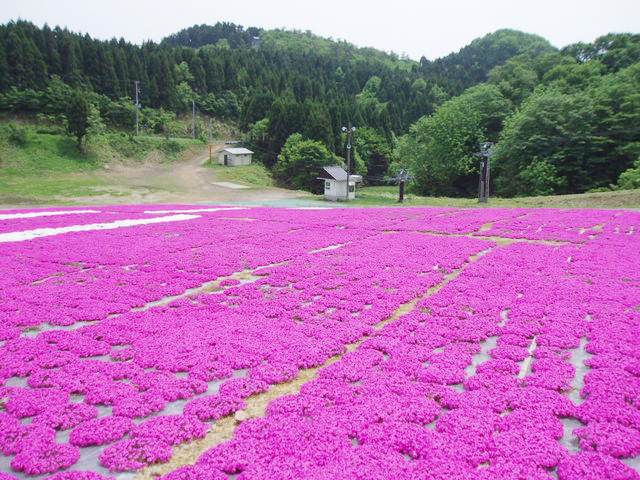 丹後高原周辺 山陰海岸ジオパーク