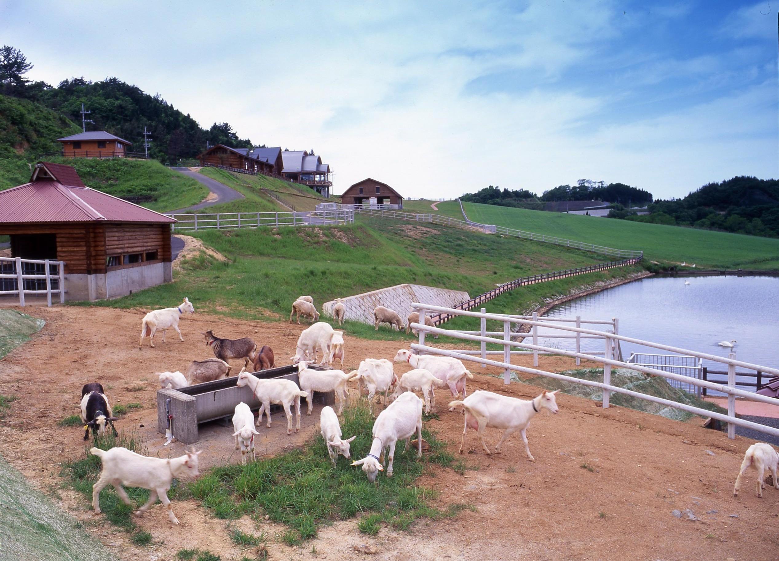 丹後高原周辺 山陰海岸ジオパーク