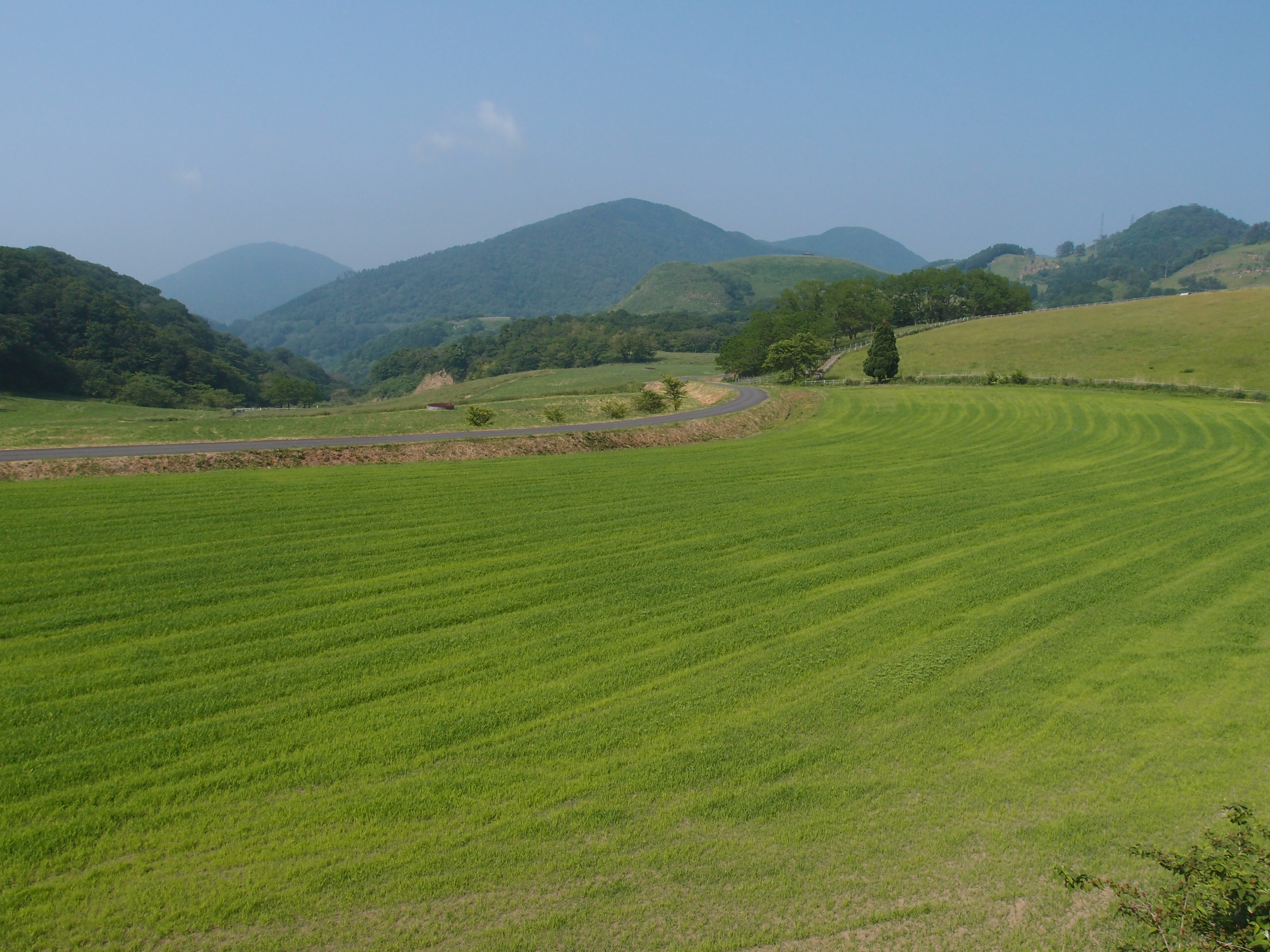 丹後高原周辺 山陰海岸ジオパーク